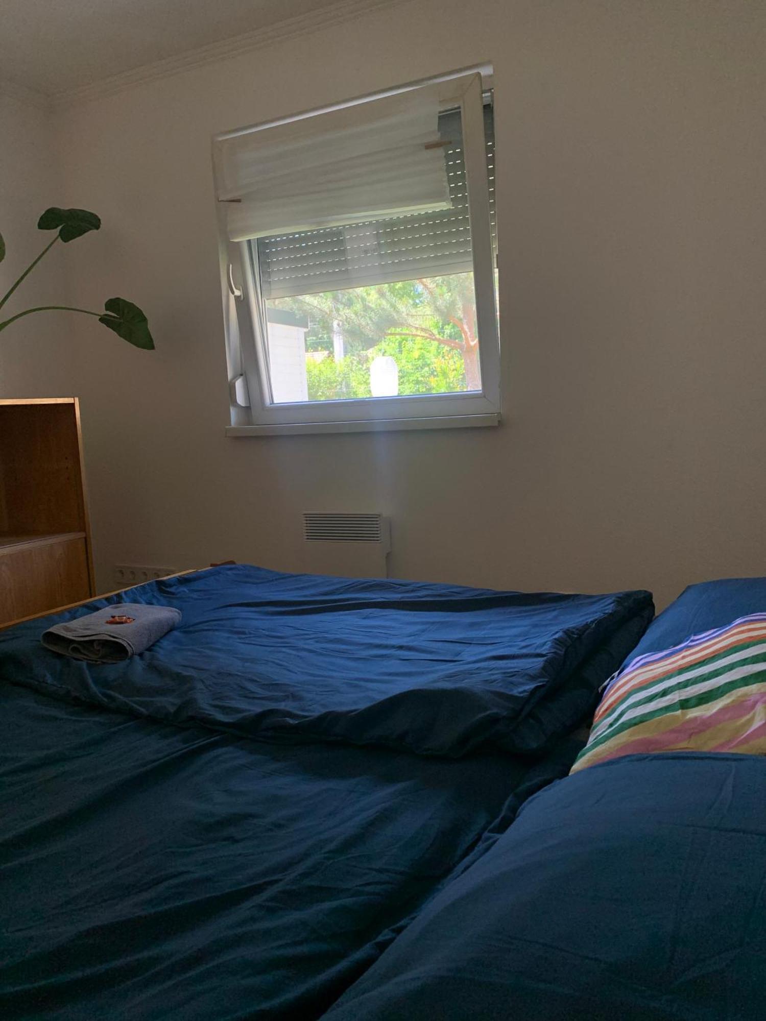 Marika Vendeghaz Villa Szigetmonostor Ngoại thất bức ảnh